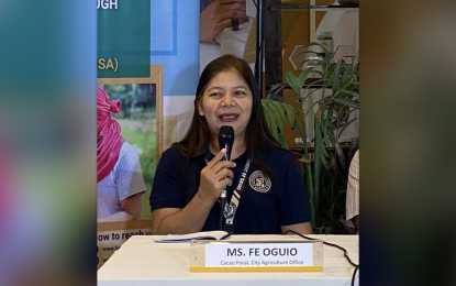 Davao City sets 8K-hectare cacao expansion