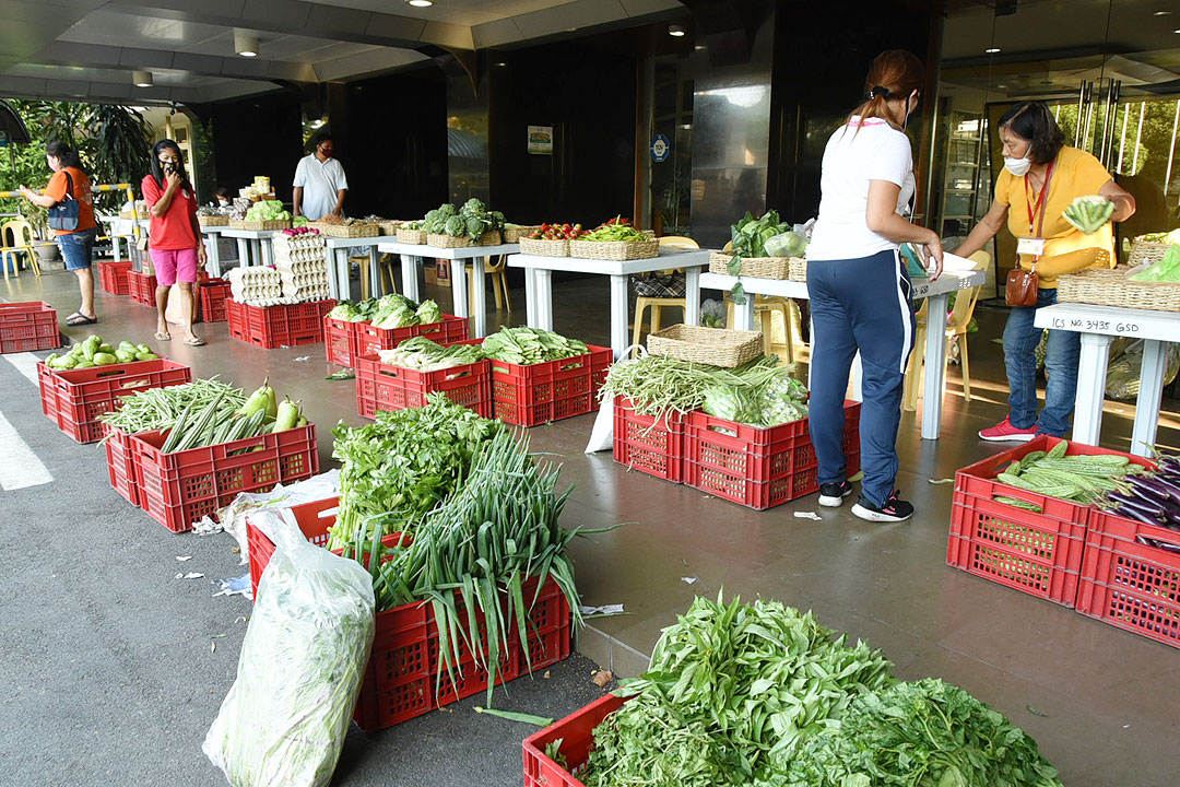 Selling seized smuggled sugar at Kadiwa seen not helping farmers