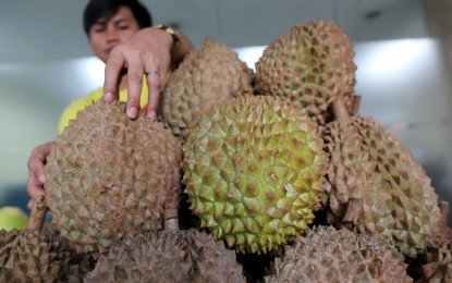 Davao durian growers eye farm expansion