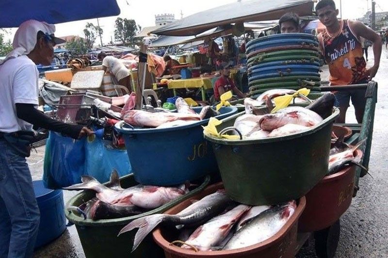 35,000 metric tons fish imports OK&rsquo;d for Q4