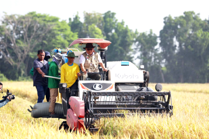 Nueva Ecija farmers test low-cost fertilization method to cut rice production expenses