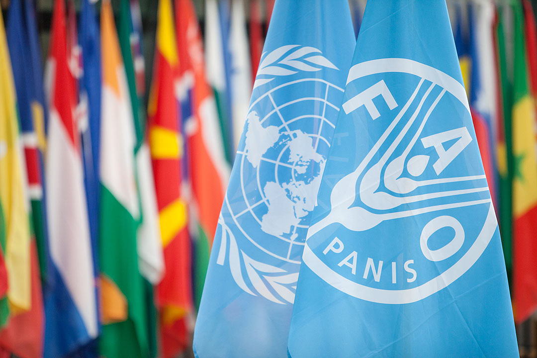 FAO calls on PHL to increase investment in resilient agriculture