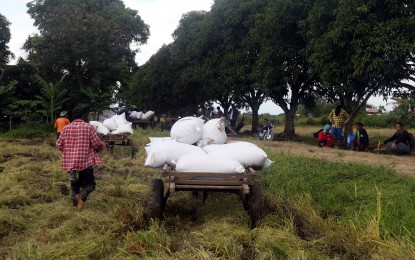 House urged to study impact of chemical fertilizers use