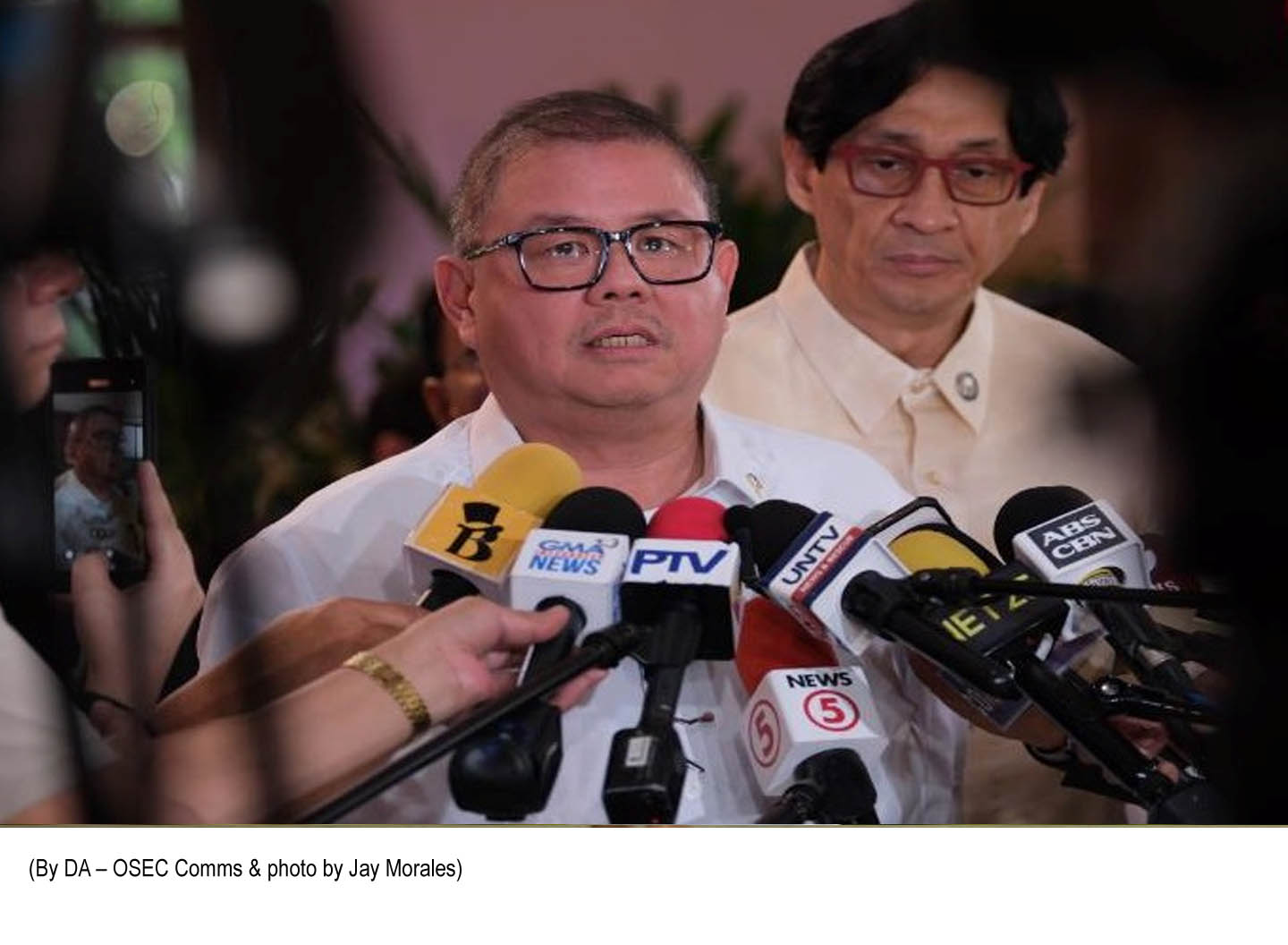 Marcos Orders Emergency Palay Procurement as Prices Plunge to ?6/kilo