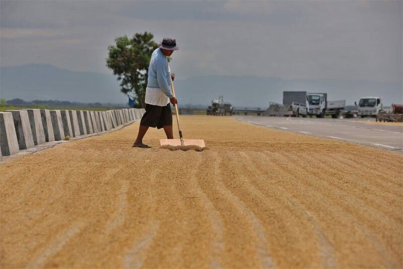 Farm output surprises with Q1 growth
