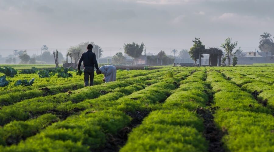 Transforming access to finance in agriculture