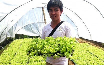 Gov't aid lures more youths into farming in Benguet town