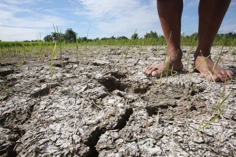 Brace for El Ni&ntilde;o, DA, SRA urged