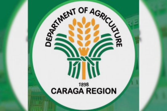 DA-Caraga provides ?2.8M aid to Surigao del Sur farmers hit by Basyang