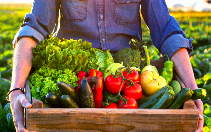 Marcos orders tariff cuts, faster imports, and DA buying of surplus crops