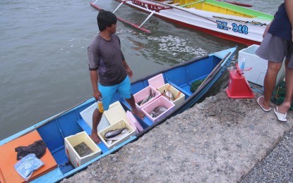 DA: Sarangani quake damage to fisheries equipment tops P2-M