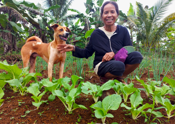 Dinagat farmers, fishers boost income through DA-SAAD livelihood projects