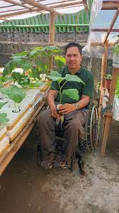 Farming against all odds: Backyard gardener in Zambales discovers hydroponics as the perfect farming method for people with disabilities