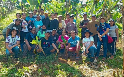 DA trains banana farmers in 3 Caraga towns on production