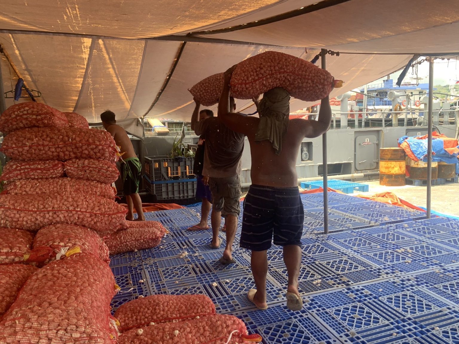 DA, PN partner to support Filipino farmers and fishers