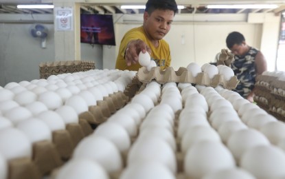 Egg supply stable but slight price hike seen - DA
