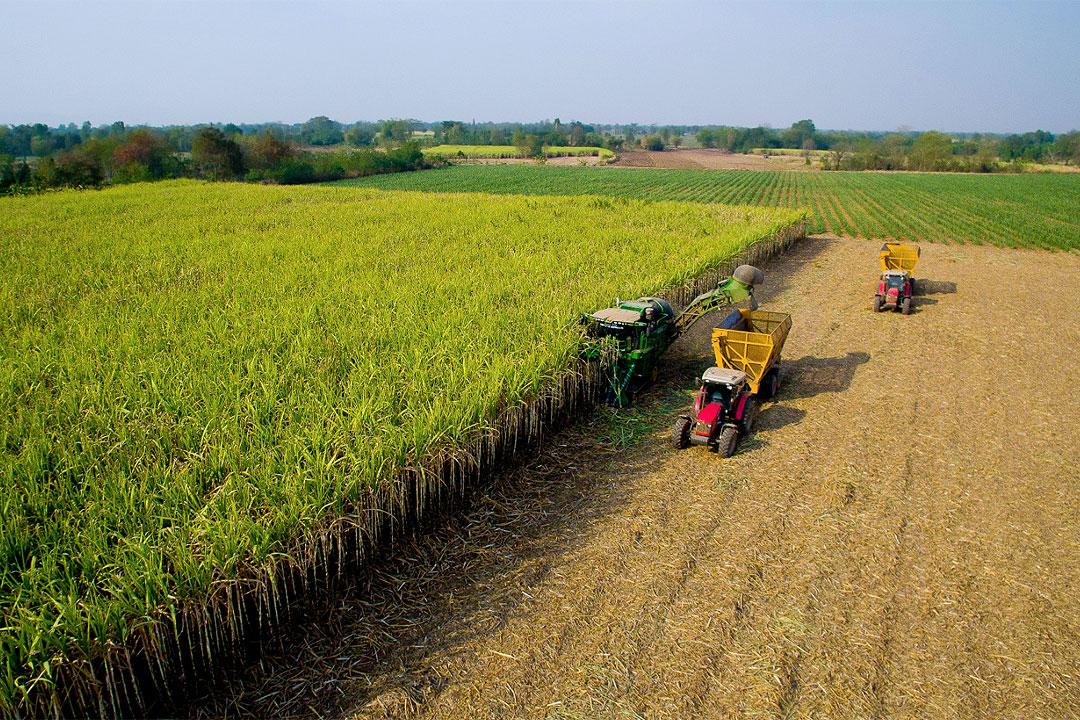 Investor pressure group urges G20 to reform agricultural subsidies