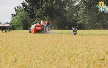 Invest in post-harvest facilities to reduce food prices: solon