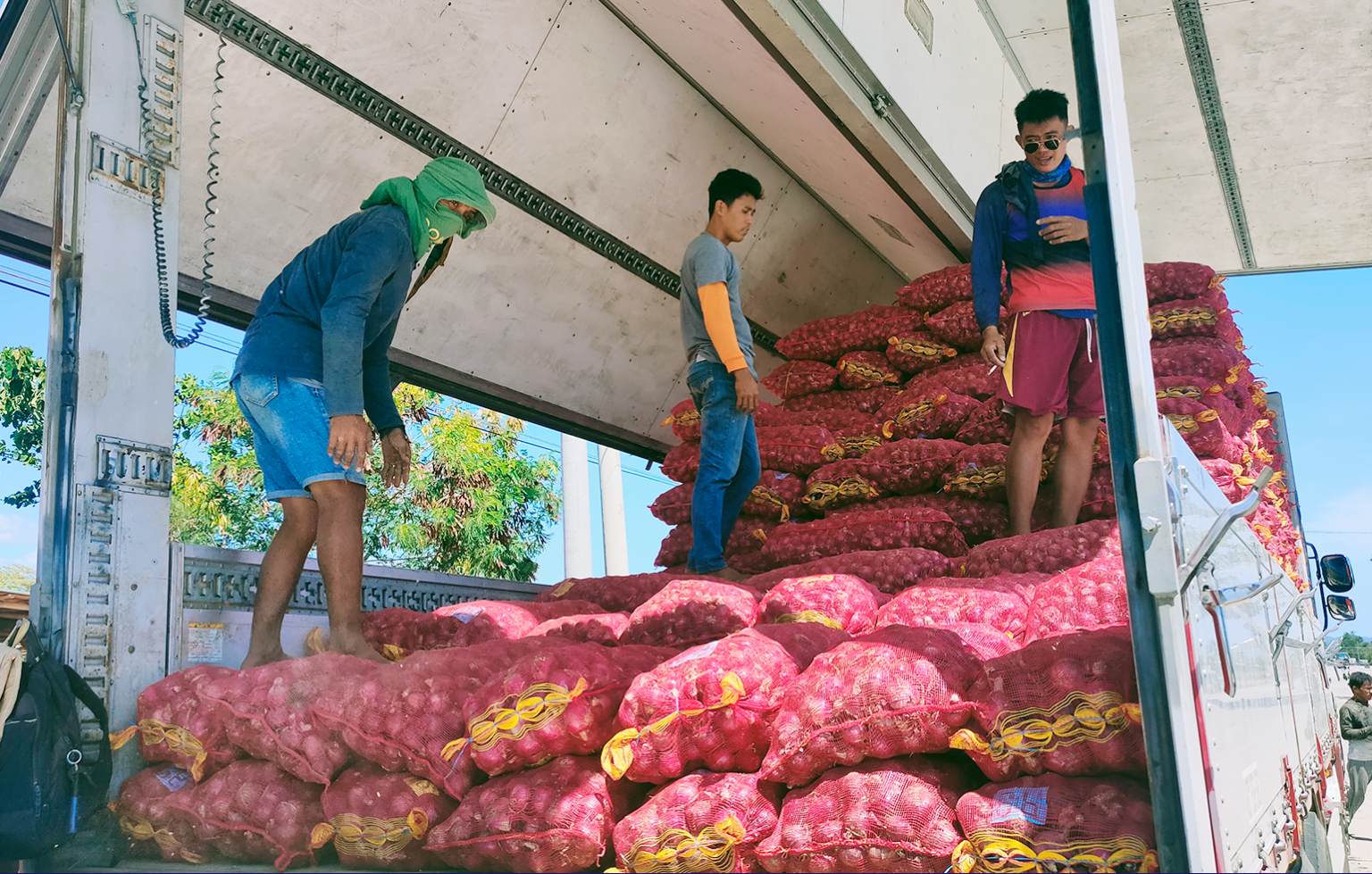 Farmers sell P2.5M worth of onions as PBBM-led DA directly links food producers to consumers, institutional buyers