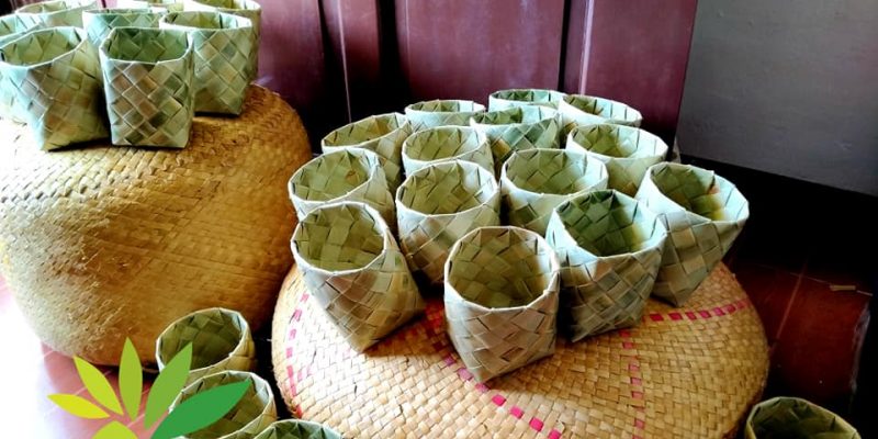 Planters made of pandan leaves provide income for Laguna farmers