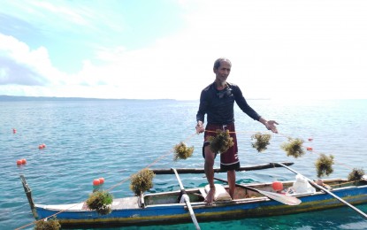 Party-list solon to prioritize welfare of farmers, fisherfolk