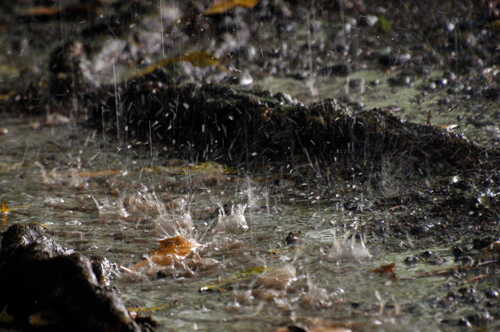 Agriculture department implements water management strategy for El Ni?o