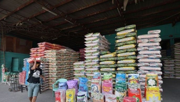 Rice importation steady &ndash; Customs