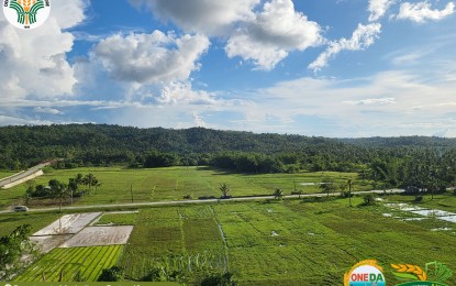 DA expands soil rejuvenation program in Eastern Visayas