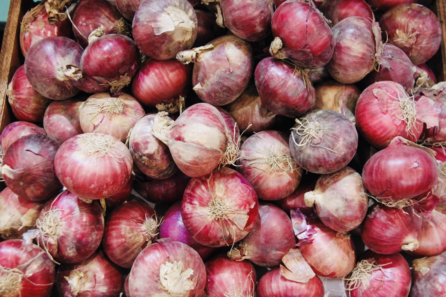 DA issues SRP of P125/kg for imported red onion