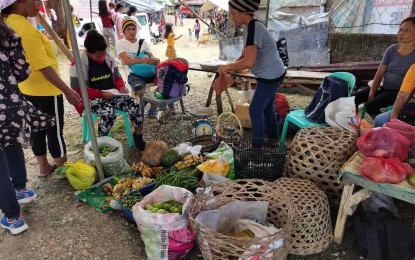 E-commerce pushed in Negros Oriental to benefit farmers