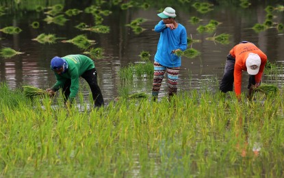 DA's 2024 budget to focus on food security, agri modernization