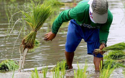 House bill creating agri pension fund for elderly farmers filed