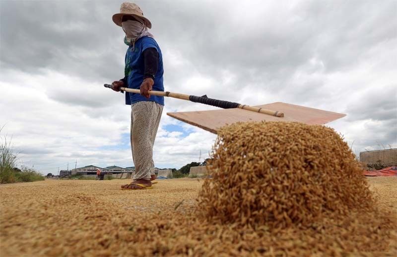 Pinoy youth urged to engage in agriculture