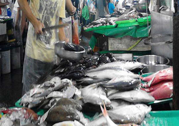 BFAR probed on pompano, salmon crackdown despite moratorium