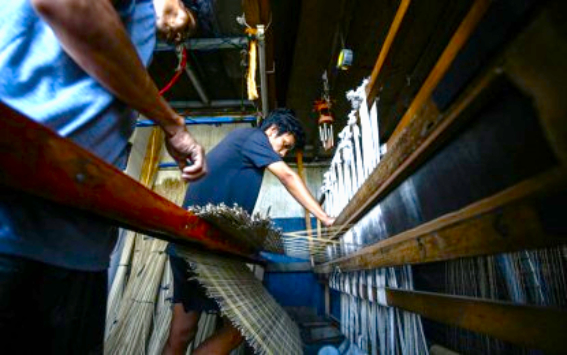 DA eyes up to $500-M funding to develop engineered bamboo industry by 2027
