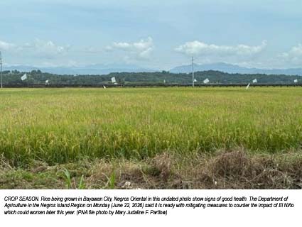 DA-NIR Activates El Ni&ntilde;o Mitigation Measures to Protect Farmers and Food Production