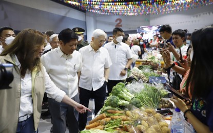 Experts say farmers in favor of PBBM&rsquo;s role as agri chief