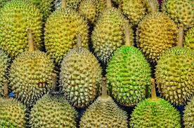 DTI pushes for frozen durian export to China