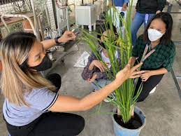 Bayer Philippines and Philippine Science High School Strengthen Partnership for the Future of Local Agriculture
