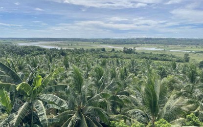 Ilocos town hosts coconut processing facility