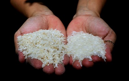 PhilRice: Mandate half-cup rice serving to address P7-M/year wastage