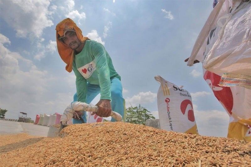 Farmers&rsquo; groups want Laurel to reform Department of Agriculture