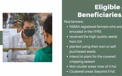 DA disburses P56-M fertilizer vouchers in Davao Region