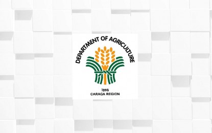 DA to open 600-ha hybrid rice techno demo farm in Butuan