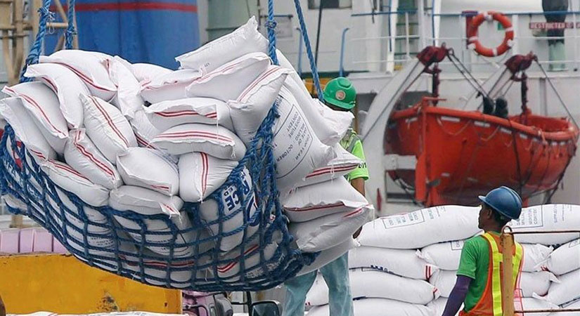 Rice imports down 42% on higher international prices
