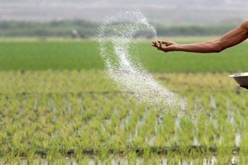 Farmers&rsquo; group warns vs new fertilizer scam