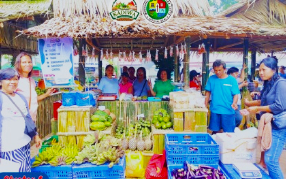Gatchalian urges expansion of Kadiwa stores to cushion impact of global crisis