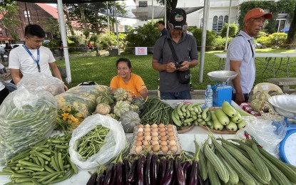 Farmer-entrepreneurs take home P1.2-M sales in P2C bazaar