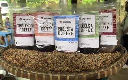 Get caffeinated in Ilocos Norte&rsquo;s 1st coffee and food fest