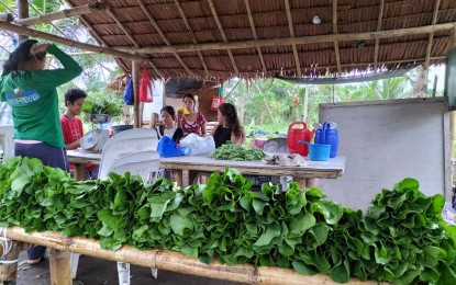 DA to extend marketing aid to Leyte farmers